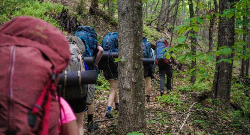 A group of people wearing backpacks hike away from the camera through a densely wooded area. 